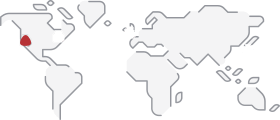 底部地图